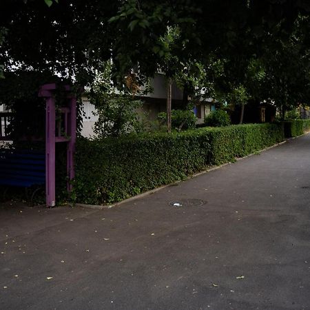 Modern 1 Bedroom Apartment In Bucharest Center! Eksteriør bilde