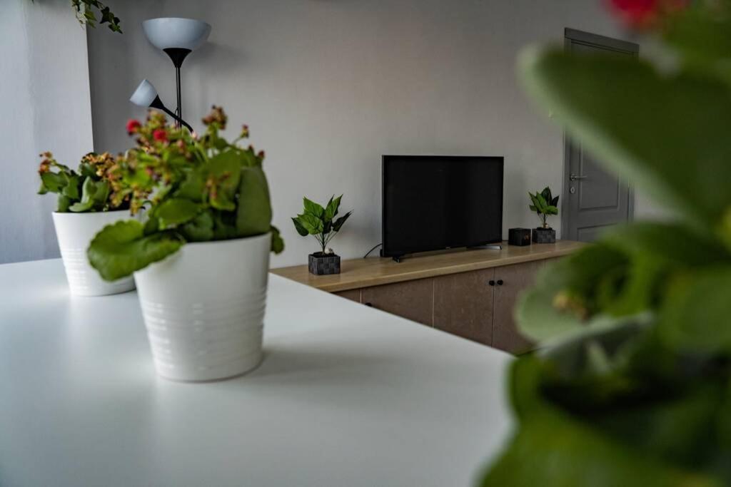 Modern 1 Bedroom Apartment In Bucharest Center! Eksteriør bilde